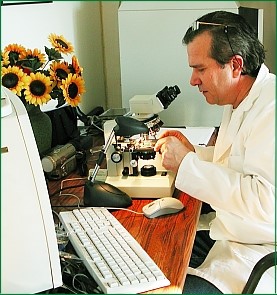la qualité de la propolis récoltée est étudiée de près par le laborentin Photo représentant un scientifique de laboratoire