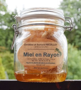 Miel en Brèche portion de 450g