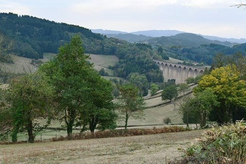 Miel de nos montagnes sauvages du Massif Central Meilleur Miel du Massif Central: un miel savoureux riche en effluves et saveurs