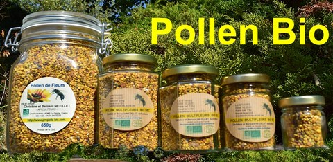 Pollen biologique alimentaire pour une cure de vitalité Bienfaits et vertus d'une Cure de pollen bio