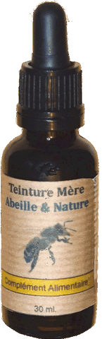 Teinture mère de propolis