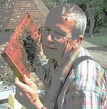 Aimez les abeilles et plus particulièrement l'Abeille Noire Française Bernard faisant un câlin à ses abeilles...