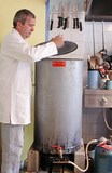 Venez découvrir les nombreux bienfaits de la propolis Stage sur la propolis comment faire une teinture mère ou un extrait aqueux